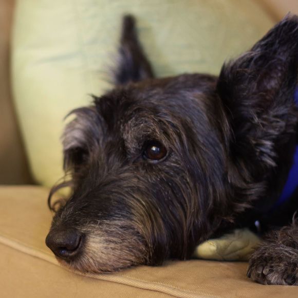 Meet your Posher, Lyn - Picture 1 of 1